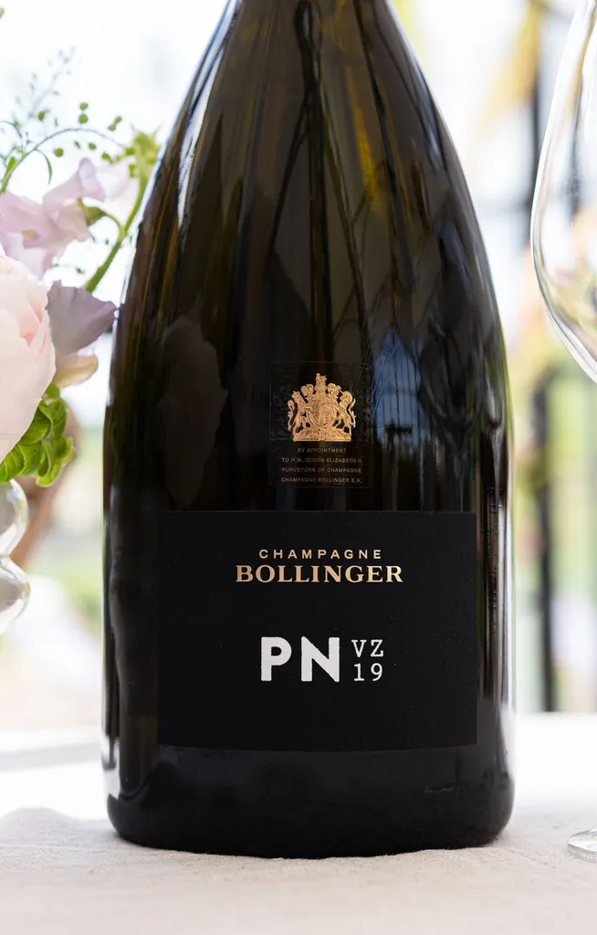 Bollinger_PNVZ19